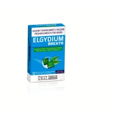 ELGYDIUM BREATH PASTILLES 12PC