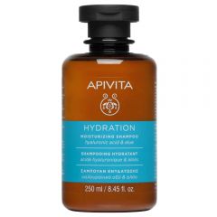APIVITA HAIR ΣΑΜΠΟΥΑΝ ΕΝΥΔΑΤΩΣΗΣ ΜΕ ΥΑΛΟΥΡΟΝΙΚΟ ΟΞΥ + ΑΛΟΗ 250ML